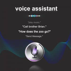 Asistent vocal pe i90000 Pro